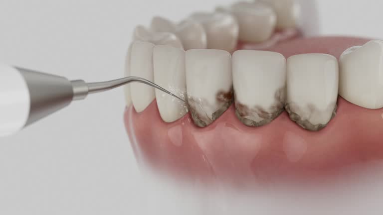 Reliable Dental contractor in Huntsville, AL by Dentist Open Now